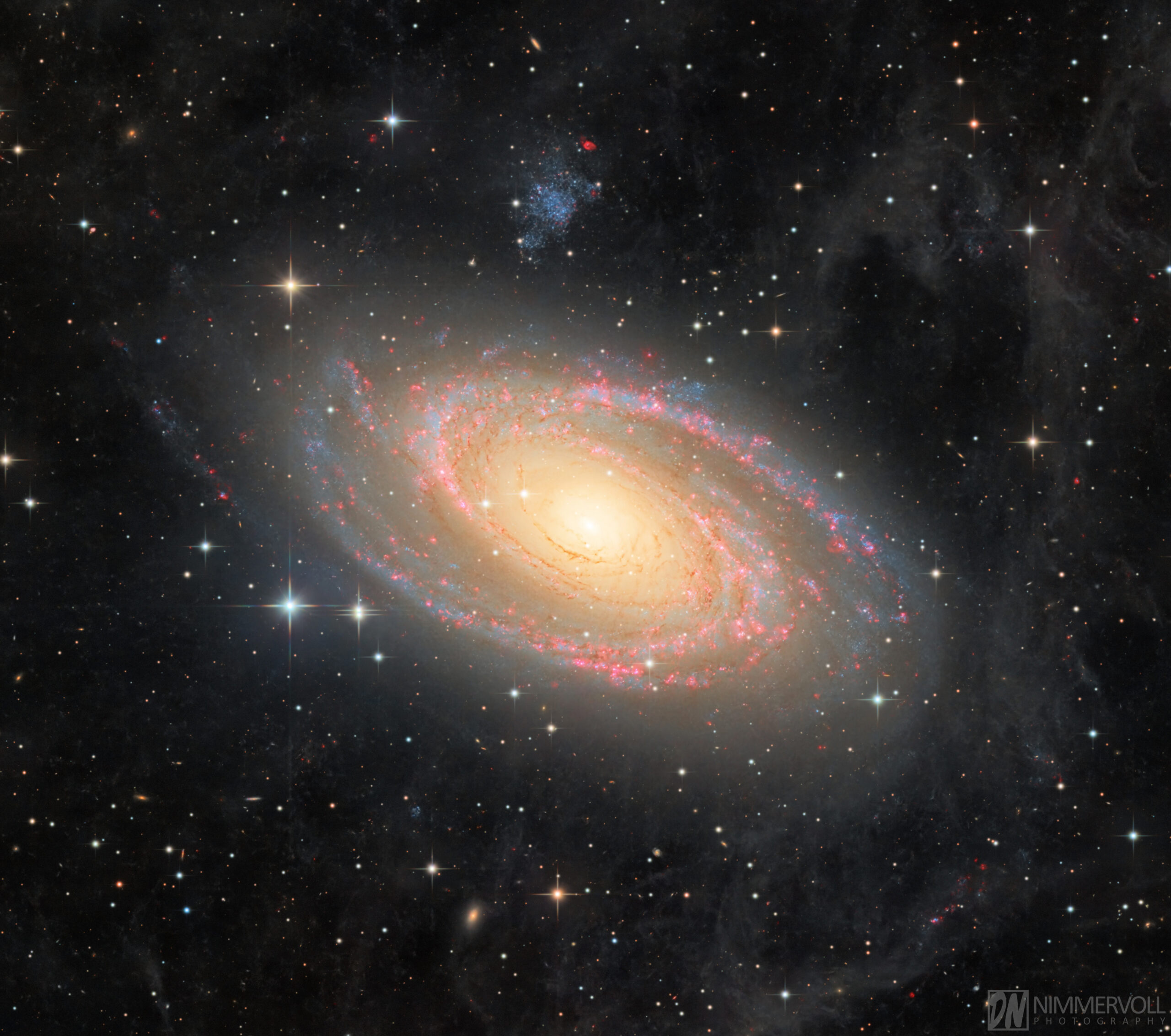 Messier 81 im Detail